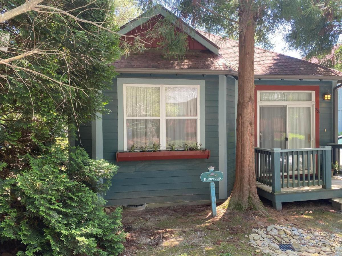 Buttercup Cottage Asheville Esterno foto