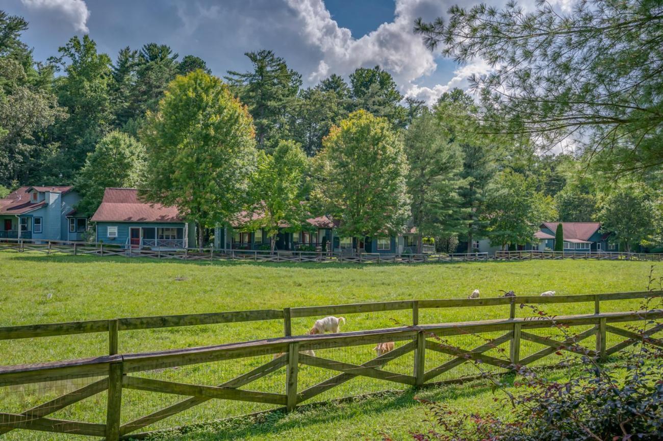 Buttercup Cottage Asheville Esterno foto