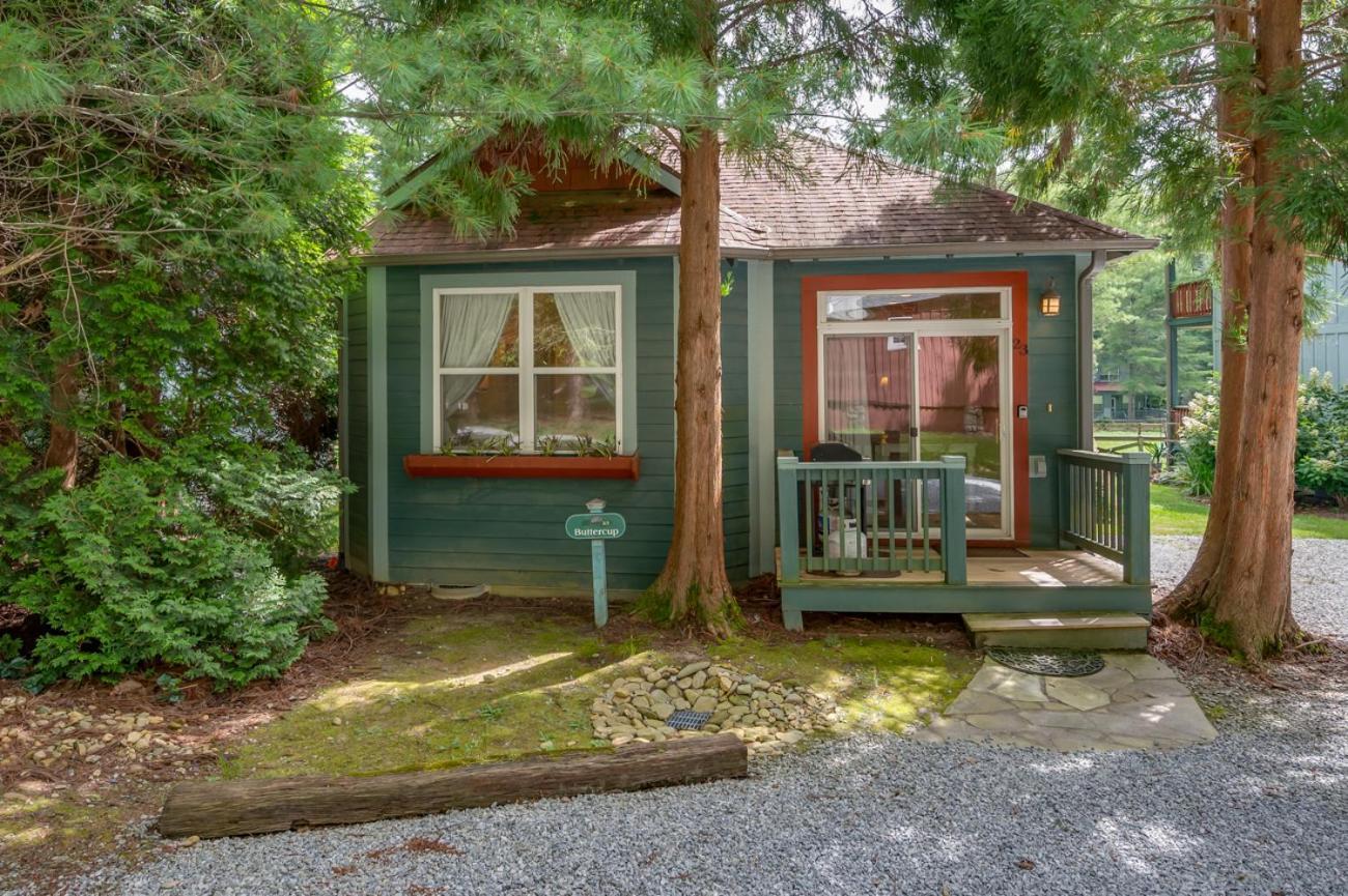 Buttercup Cottage Asheville Esterno foto