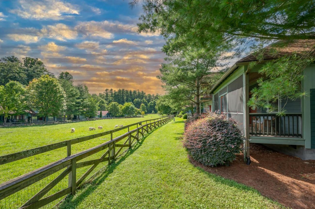 Buttercup Cottage Asheville Esterno foto
